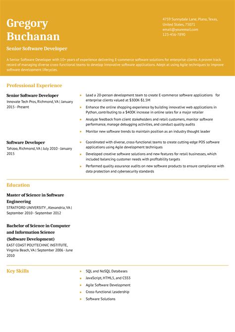 Senior Developer Resume Examples に対する画像結果