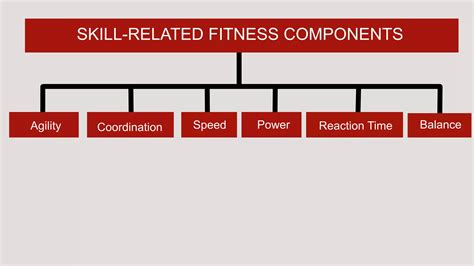 Image result for Body Types Pathfit