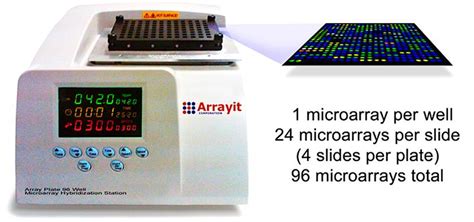 Toradh íomhá ar Array Hybridization