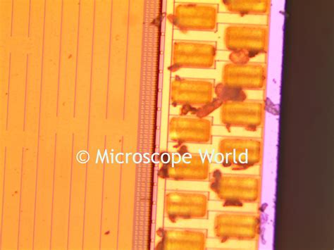 Image result for 5MP Microscope Camera Image Cells