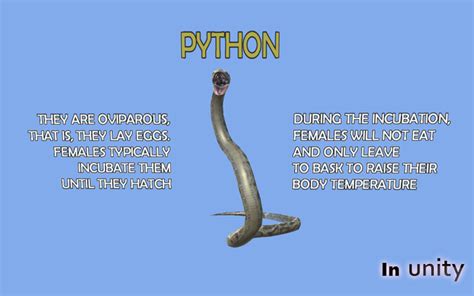 Image result for Long Animated Python