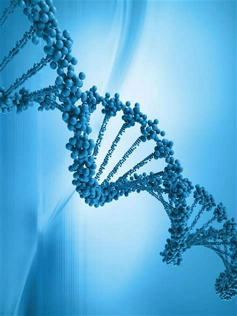 Image result for What Is Medicine