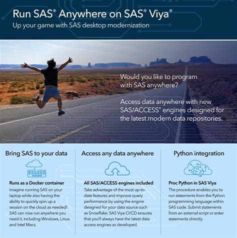 Image result for SAS Virtualization Software