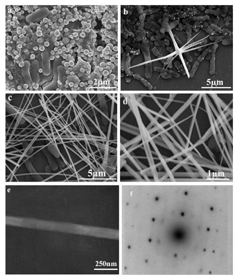 Image result for Grey Selenium Structure