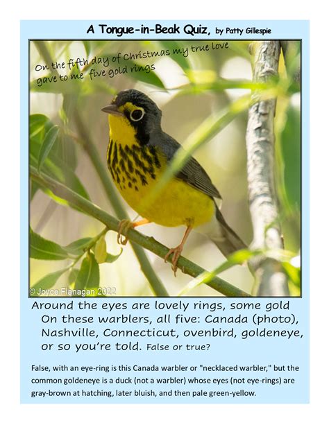 Afbeeldingsresultaten voor Ballard Post