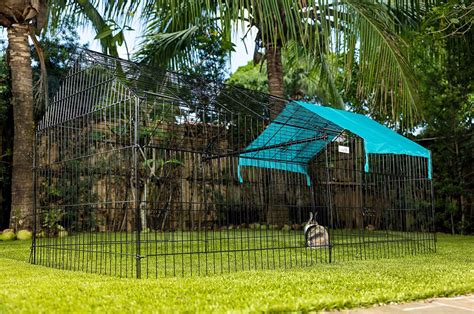 Image result for Mini Cage Animal