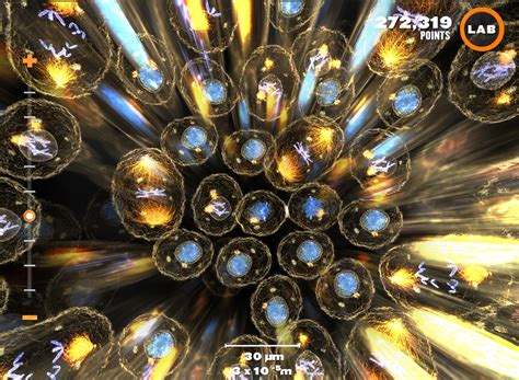 Image result for Science Visualization