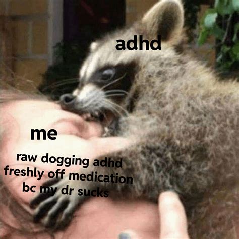 Image result for Humour Kim I'm Using Humour