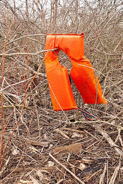 Image result for Aircraft Microcontroller