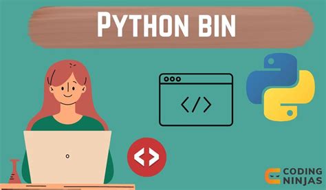 Bildergebnis für Python Bin