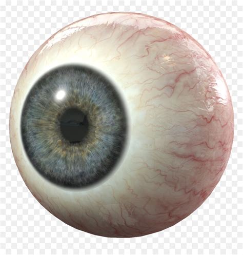 Image result for Human Eye Transparent