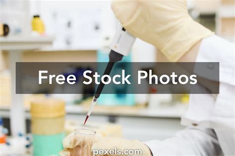 Image result for Lab All Images