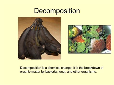 Afbeeldingsresultaten voor Decomposition Chemical Process