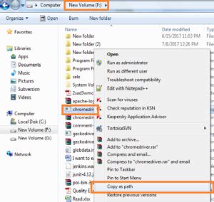 Toradh íomhá ar Selenium WebDriver Chrome