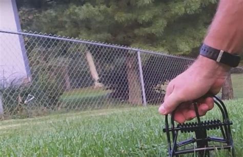 Image result for How to Use Mole Traps