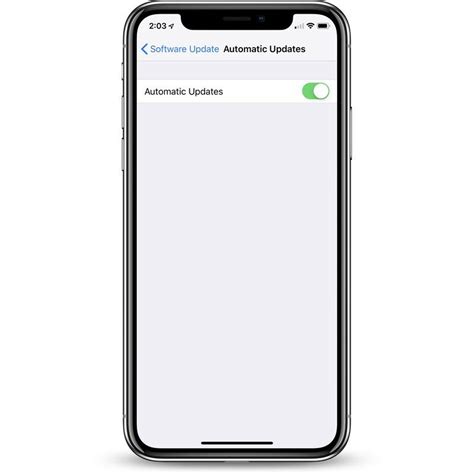 Image result for Auto Update Software iPhone
