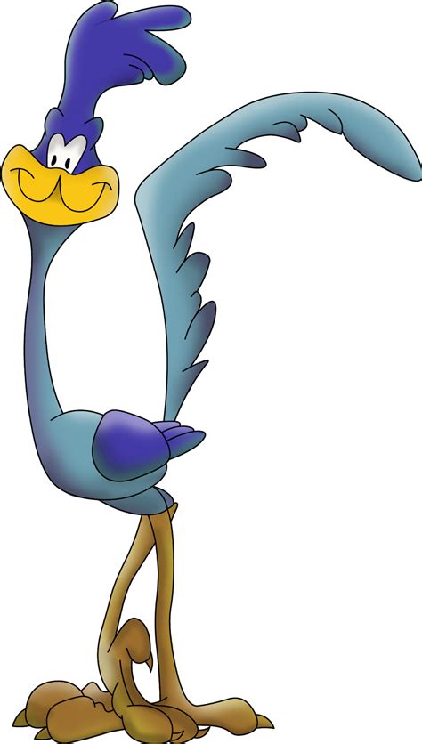 Image result for Road Runner Character