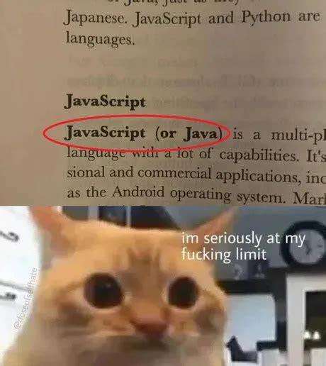 Image result for JS Code Meme