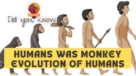 Image result for Human with Monkey Tail