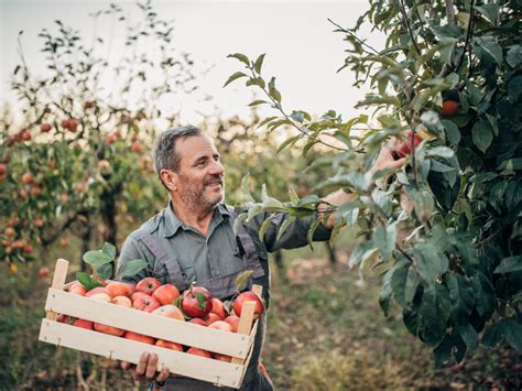 How to Call Fruit Net に対する画像結果