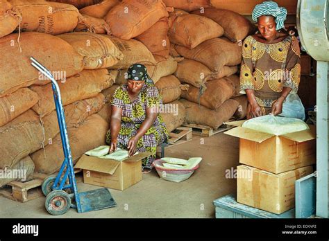 Toradh íomhá ar Shea Oil Process