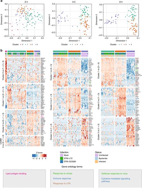 Image result for Unsupervised Clustering Methods Figure