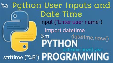 Image result for Python Date Input Styling