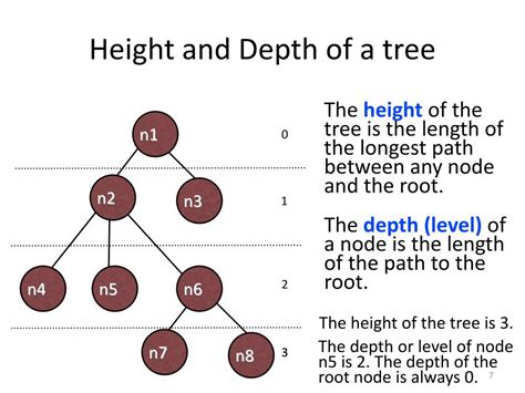 Computer Science KnowledgeTree に対する画像結果
