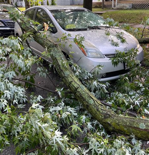 Image result for Cross Trainer SXT Pumps Two 5662