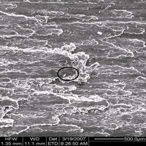 Grinding Surface Texture Sample に対する画像結果