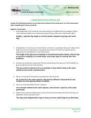 Image result for BioInteractive Lizard Evolution Answer Key