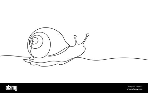 Toradh íomhá ar Continuous Line Drawing Shell