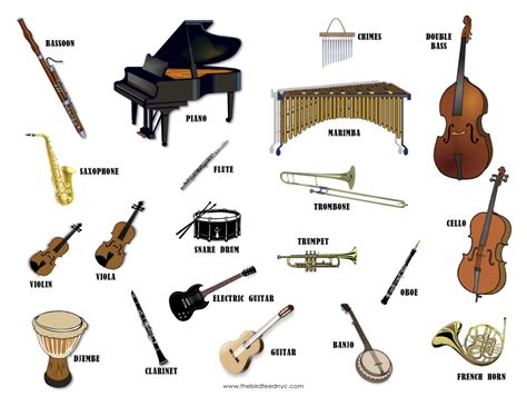 Image result for Instrument Sounds Names And
