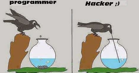 Toradh íomhá ar Programmer vs Hacker