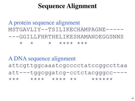 Image result for Proetin Sequence Alignment
