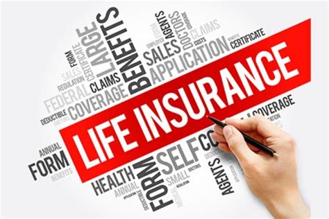 Toradh íomhá ar Fake Life Insurance Policy Template
