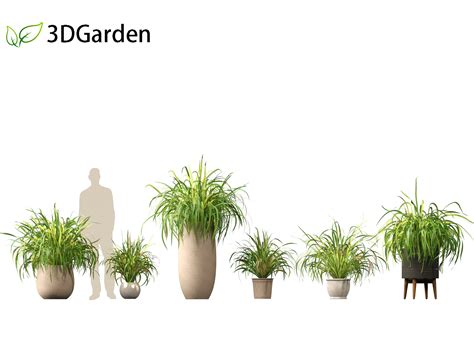 Lemongrass 3D Model に対する画像結果