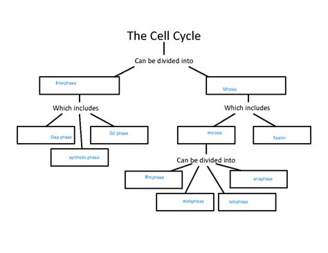 Cell Cycle Control Concept Map に対する画像結果
