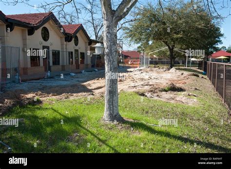 Image result for AFB Hartspierweefselcellen