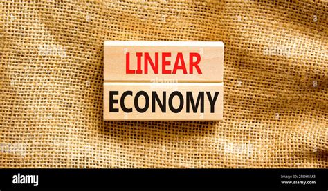 Image result for Linear Econo