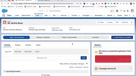 Image result for Lead Record Page Salesforce