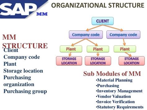 Toradh íomhá ar SAP mm Module Structure