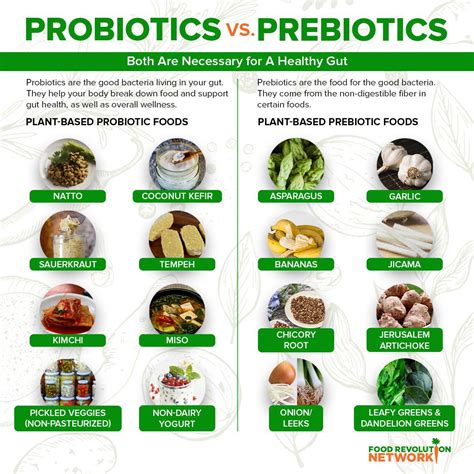 Image result for Probiotic Food Examples