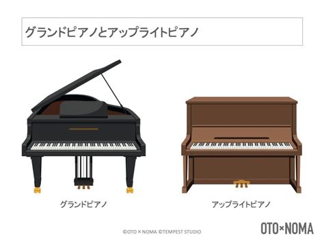 Piano Key Structure に対する画像結果