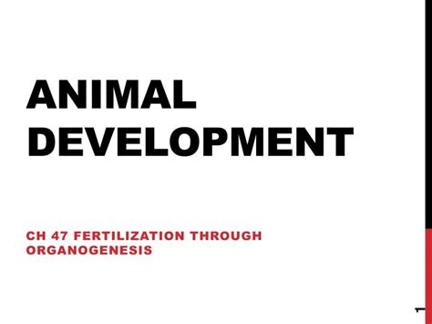 Image result for Animal Development Models