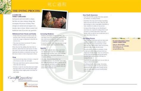 CPB Dying Process に対する画像結果