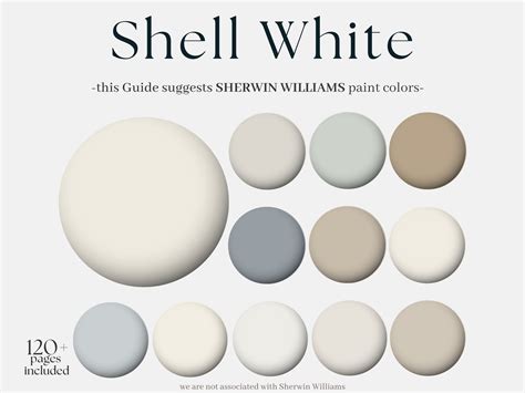 Image result for Shell Color