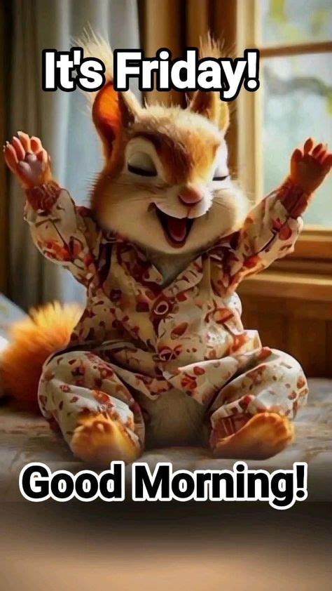 Good Morning Friday Funny に対する画像結果