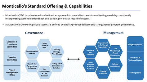 Test Governance Software Development に対する画像結果