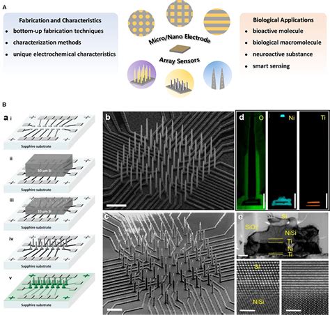 Electrode Array Device に対する画像結果